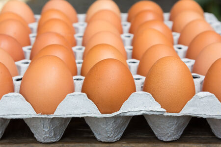 Eggs in the package