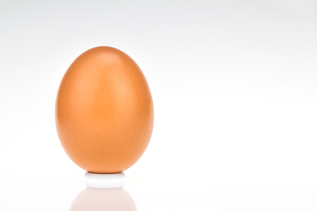 Single brown chicken egg on white backgroundの写真素材