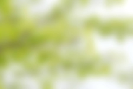 green and light green blur backgroundの写真素材
