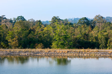 sunset at a water reservoir in the forest at sunset with reflection in water ripplesの写真素材