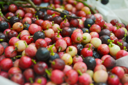 The fruits on the bar for sale.の写真素材