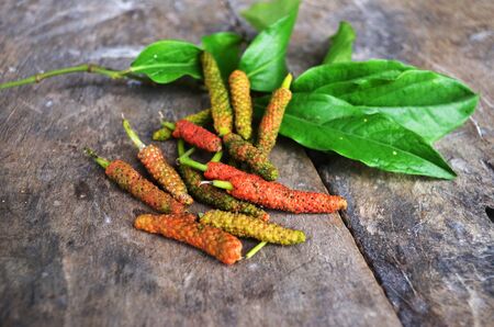 Long pepper on the tableの写真素材