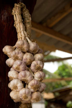 Garlic is a bunch of stick together の写真素材