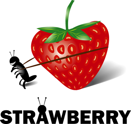 Strawberry was stolen by a little antのイラスト素材