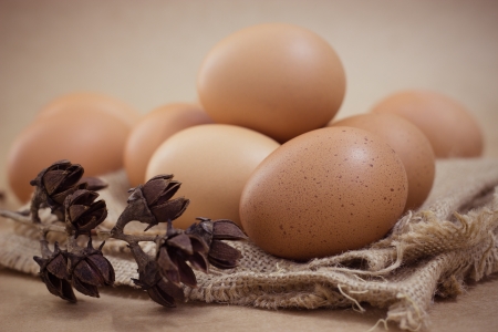 Eggs in a sackclothの写真素材