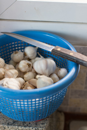 Garlicの写真素材