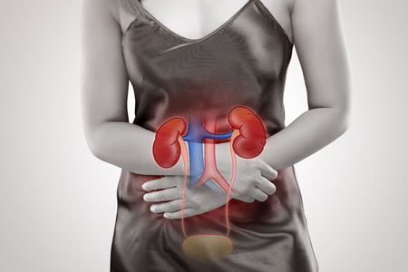 The woman has Kidney disease and Stomach ache, On gray backgroundの写真素材