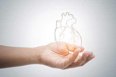 Man holding heart illustration against gray wall background. Concept with heart disease protection and care.の写真素材