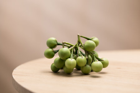 A cluster of fresh turkey berries, known for their slightly bitter taste and medicinal properties,...