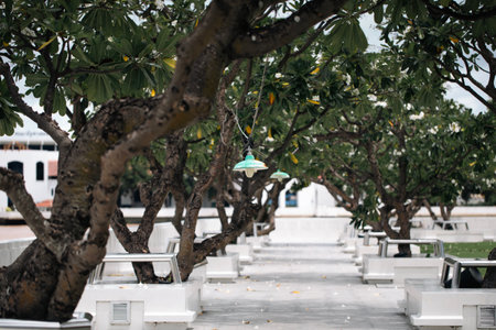 A vintage green lamp hanging in a serene public park, blending nature and design. Perfect for outdoor, garden, lighting, and peaceful atmosphere concepts.の写真素材