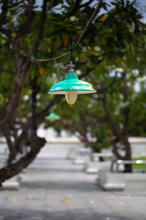 A green lamp hangs along a peaceful park walkway surrounded by trees, creating a calm and natural atmosphere in an outdoor public space.の写真素材