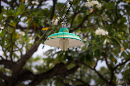 A green lamp hangs along a peaceful park walkway surrounded by trees, creating a calm and natural...