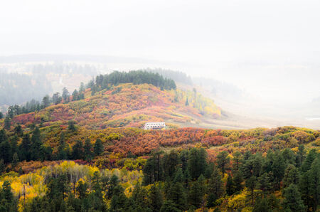 view at plamtaw roadのeditorial素材