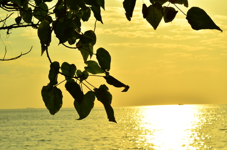 Beautiful sunset above the sea.Gold Sunset, sea and clouds. Beautiful golden orange sunset over the ocean. The sun sets turning the sky yellow, orange & red tones & reflects in the ocean.の写真素材