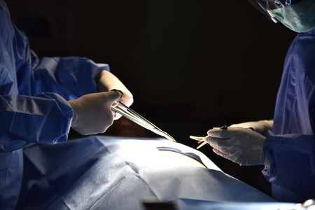 Surgical light in the operating room. Preparation for the beginning of surgical operation with a cut. Team surgeon at work in operating room.の写真素材