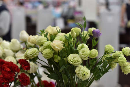 Beautiful rose Beautiful bouquet.Colorful flowers in nature.の写真素材