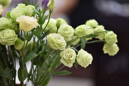 Beautiful rose Beautiful bouquet.Colorful flowers in nature.の写真素材