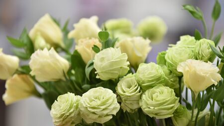 Beautiful rose Beautiful bouquet.Colorful flowers in nature.の写真素材