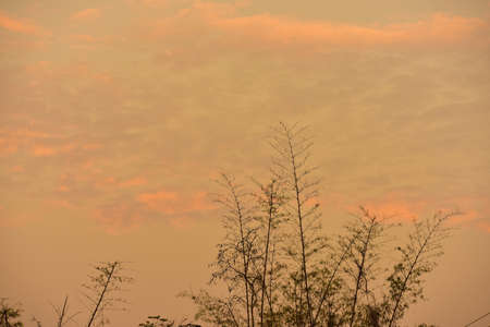 Sunrise at the mountain peak in the early morning with red orange sky.の写真素材
