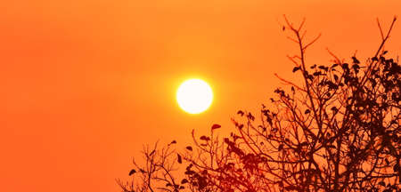 Sunrise at the mountain peak in the early morning with red orange sky.の写真素材