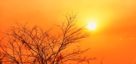 Sunrise at the mountain peak in the early morning with red orange sky.の写真素材