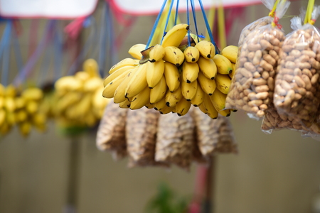 For monkeys, banana corn is prepared in plastic bags for sale to travelers in Chon Buri, Thailand.の写真素材