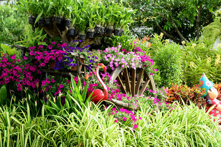 Colorful flowers in the garden.Flower blooming. Beautiful flowers in the garden Blooming in the summer. Landscaped Formal Garden. Park. Beautiful Garden.summer flower garden.の写真素材