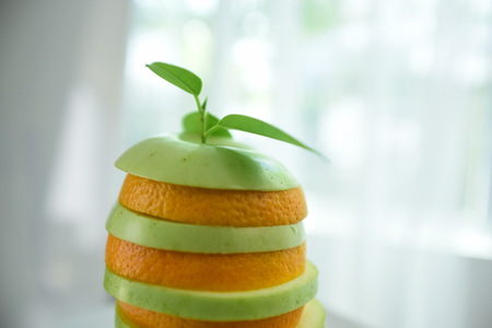 fresh fruits on white background Fresh red tomatoes With drops of water on the tomato skin. Mix fruits.Fresh fruits close up.Healthy eating, dieting concept Composition with assorted raw organic vegetables. Detox diets. Composition with variety of organic vegetables and fruits. Balanced diet.の写真素材