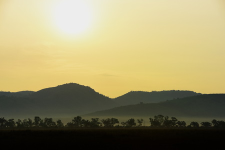 Picture of a sun setting behind a dense forest area followed by mountains.の写真素材