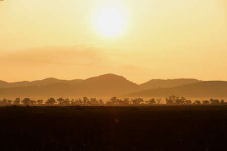 The sunrise view against the golden yellow skyの写真素材