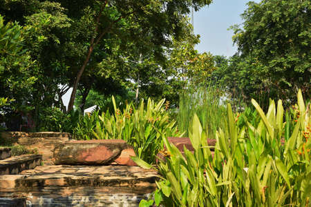 Spring Formal Garden. Beautiful garden of colorful flowers.Landscaped Formal Gardenの写真素材