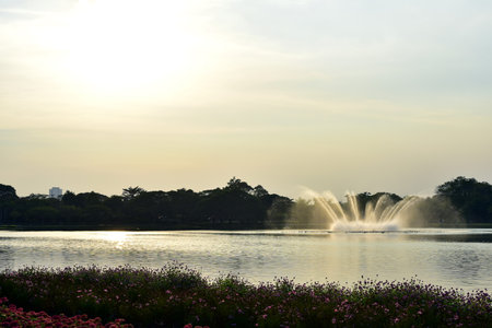 Beautiful view of the fountain in the park at sunset time.の写真素材