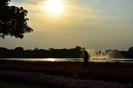Sunset in the garden with flower and fountain in the evening.の写真素材