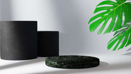 3D rendering of mockup background. Podium for show product. Blank scene showcase with empty round stage.の写真素材
