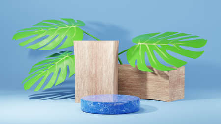 3D rendering of mockup background. Podium for show product. Blank scene showcase with empty round...