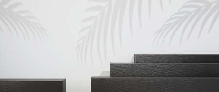 3D rendering of background. For show product. Blank scene showcase mockup.