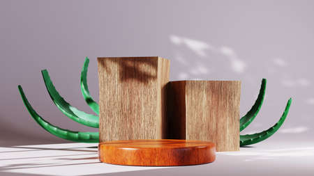 3D rendering of podium background. Mockup for show product. Blank scene showcase with empty round stage.の写真素材