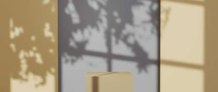 3D rendering of Podium for displaying products and shadows from windows background. Mockup for show...