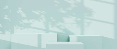 3D rendering of Background for displaying products, creams and cosmetics. For show product. Blank scene showcase mockup.の写真素材