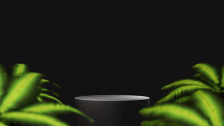 3D rendering of blank product background for displaying fashion and cream cosmetics decorations. Modern podium background for luxury product.の写真素材