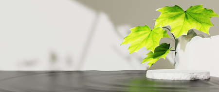 3D rendering of blank product background for backdrop fashion and cream cosmetics decorations....