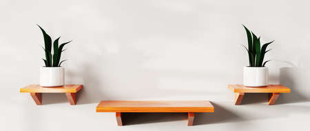 3D rendering of Background for displaying product, creams and cosmetics. For show product. Blank background showcase mockup.の写真素材