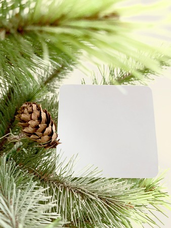 A wish card on Christmas tree and decorate by brown pine