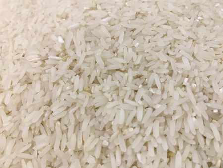 the closed up of jasmine rice, thai white rice as natural backgroundの写真素材