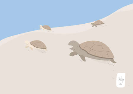turtle family cartoon go back from sand to ocean vectors, global warming campaignのイラスト素材