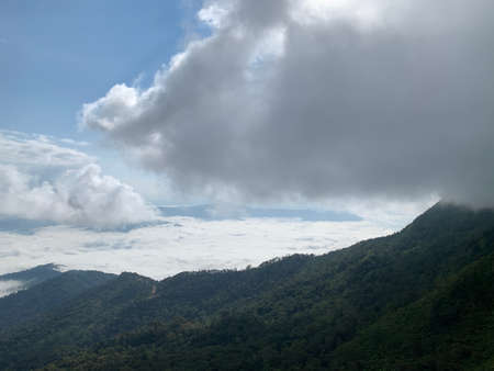 sea of fox with cloud over mountain view ep01