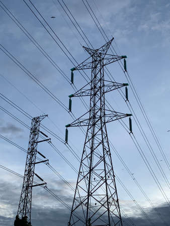 Portrait of a high voltage line with a bird perchの写真素材