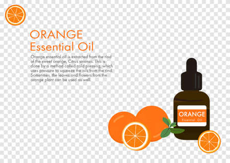 orange essential oil, herb vector isolated on transparency backgroundのイラスト素材