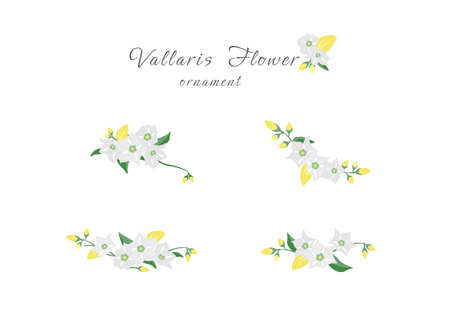 set of floral and foliage frame ornament banner  vector designのイラスト素材