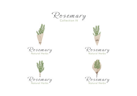 set of rosemary herb banner and  collection on backgroundのイラスト素材